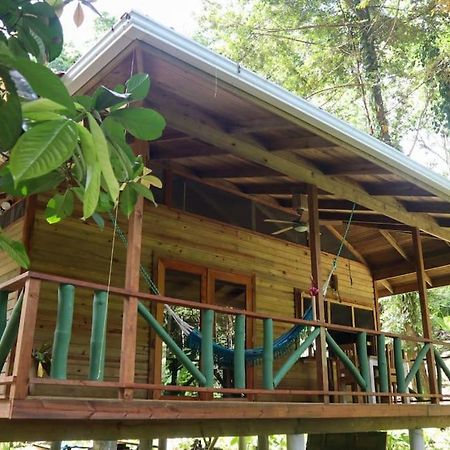 Jungle Beach 2 Bedroom Cottage ボカス・タウン エクステリア 写真