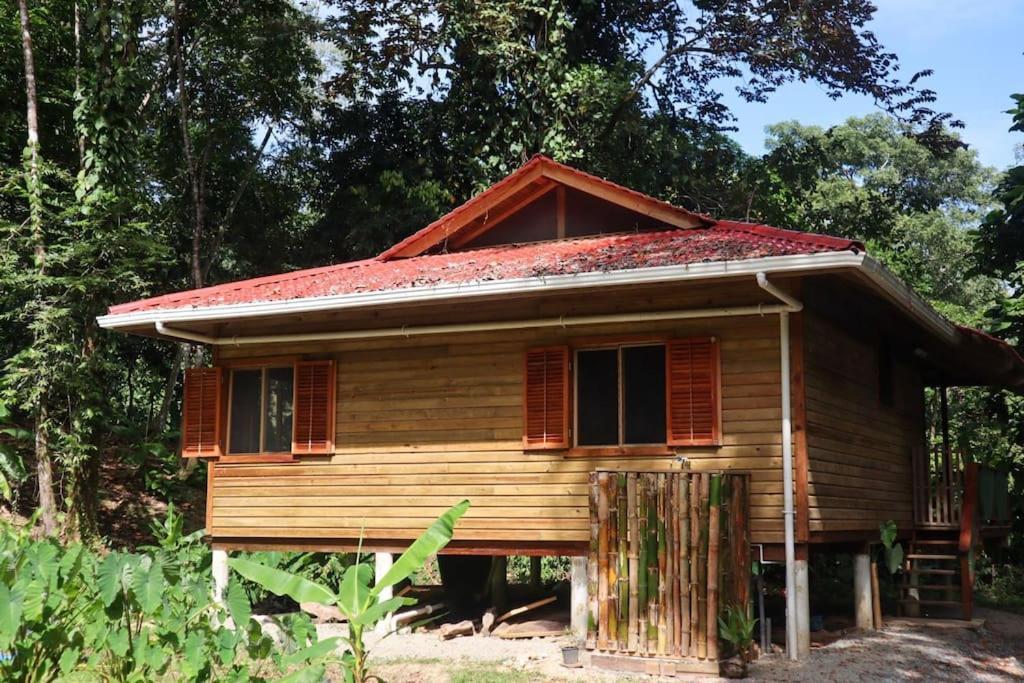 Jungle Beach 2 Bedroom Cottage ボカス・タウン エクステリア 写真