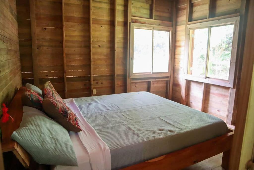 Jungle Beach 2 Bedroom Cottage ボカス・タウン エクステリア 写真