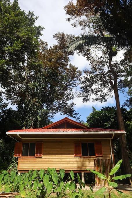Jungle Beach 2 Bedroom Cottage ボカス・タウン エクステリア 写真