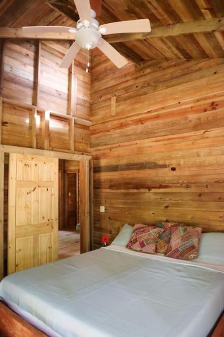 Jungle Beach 2 Bedroom Cottage ボカス・タウン エクステリア 写真