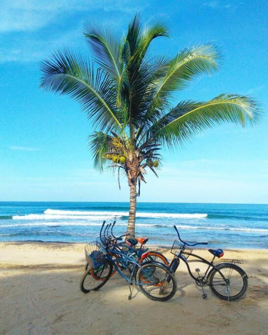 Jungle Beach 2 Bedroom Cottage ボカス・タウン エクステリア 写真