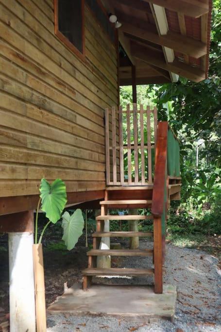 Jungle Beach 2 Bedroom Cottage ボカス・タウン エクステリア 写真