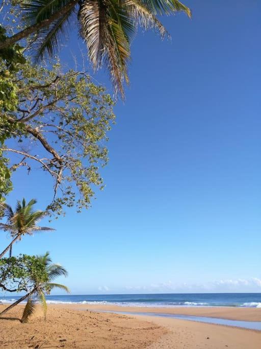 Jungle Beach 2 Bedroom Cottage ボカス・タウン エクステリア 写真
