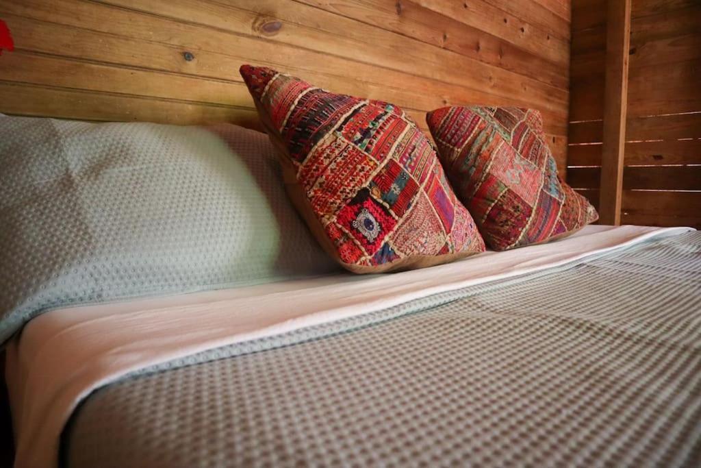 Jungle Beach 2 Bedroom Cottage ボカス・タウン エクステリア 写真