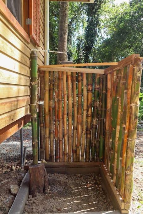 Jungle Beach 2 Bedroom Cottage ボカス・タウン エクステリア 写真